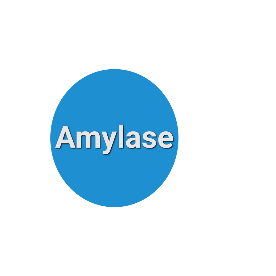 amylase-labreqs