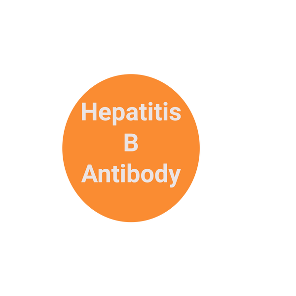 Hep B Quantitative Titer Near Me Cheap Sale | emergencydentistry.com